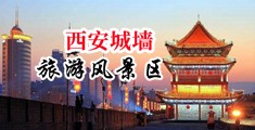 免费操日本大骚屄视频中国陕西-西安城墙旅游风景区
